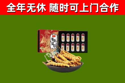 石景山区烟酒回收冬虫夏草礼盒.jpg