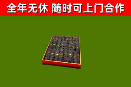 石景山区回收海参